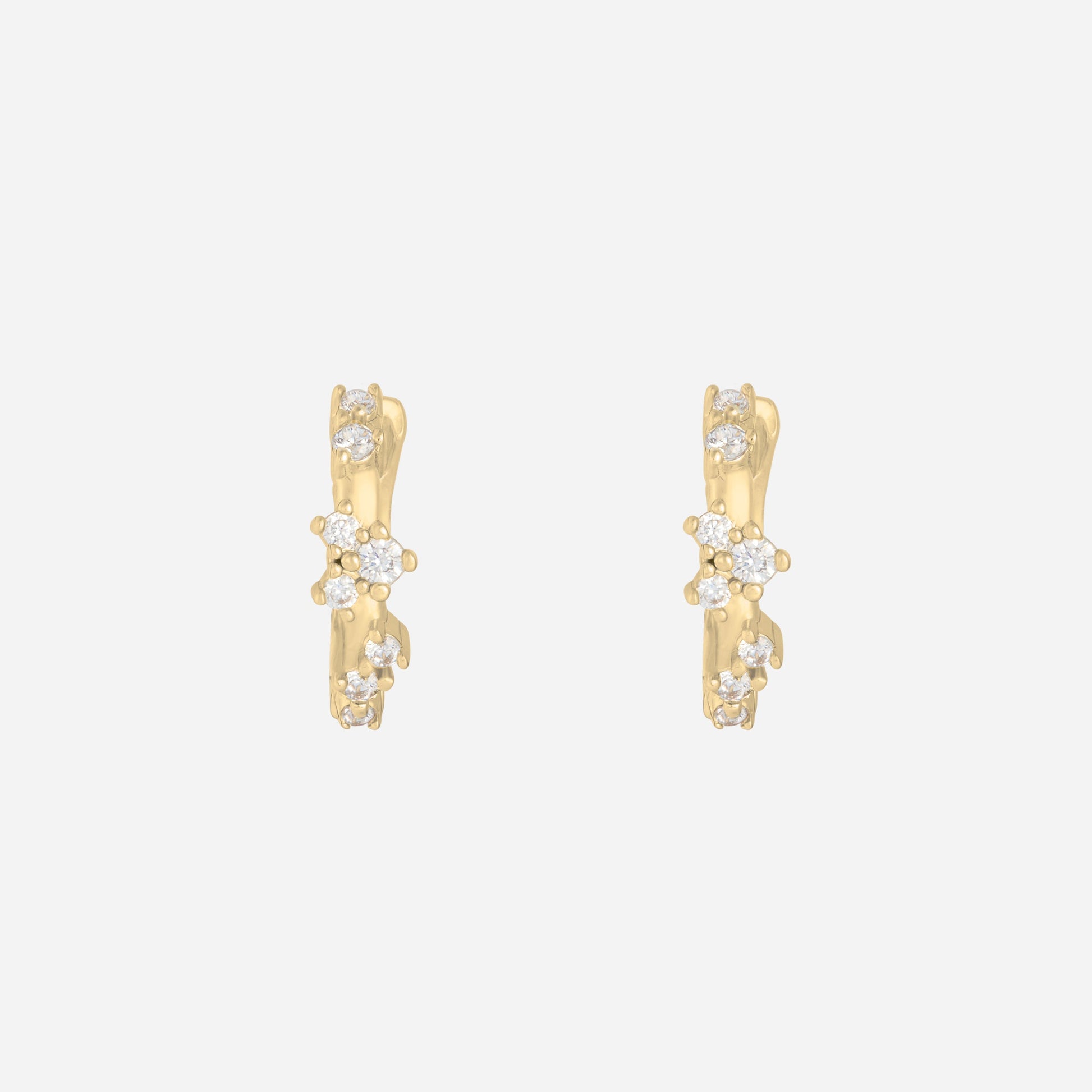 Paire de boucles Trésor